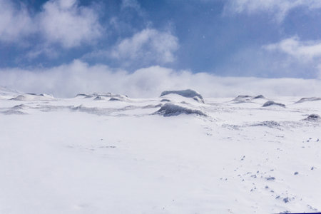 snow desert with hummocks, lifeless snowy landscape with blizzardの写真素材