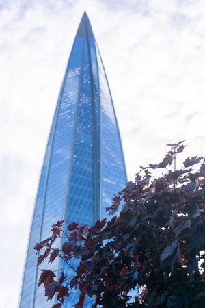 Saint-Petersburg, Russia - June 12, 2024: red foliage on background of Lakhta Center skyscraper...