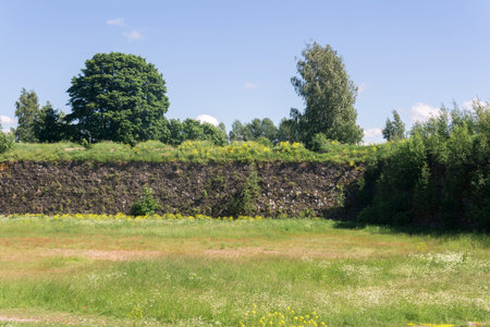 sunny landscape with stone wall among grass, ruins of ancient fortifications
