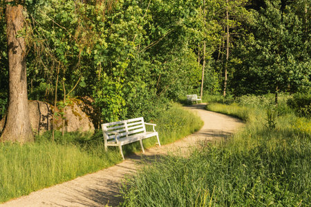 ground path and vintage benches in the parkの写真素材