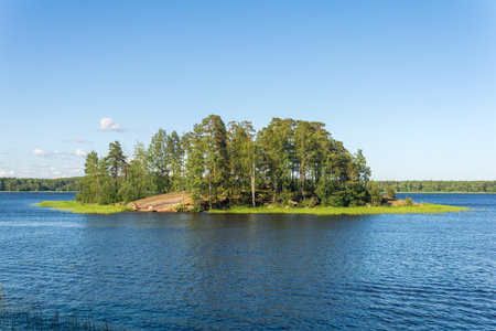 natural landscape, small wooded stone island with reed banksの写真素材
