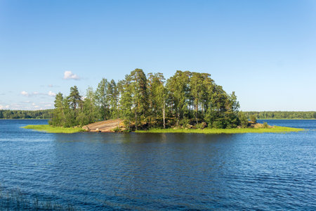 natural landscape, small wooded stone island with reed banksの写真素材