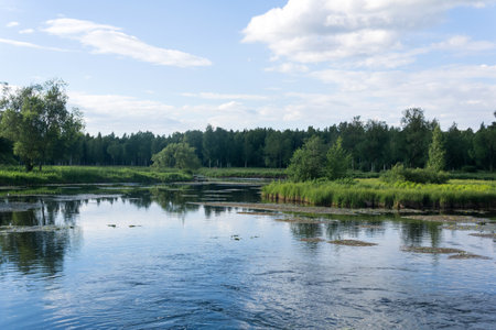 natural summer landscape with a quiet swampy riverの写真素材