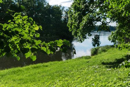 blurred park landscape with river, focus on nearby foliageの写真素材