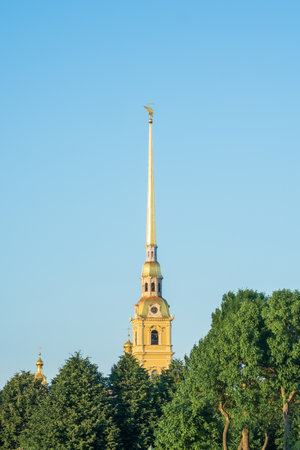 Saint-Petersburg, Russia - June 16, 2024: spire of the Peter and Paul Cathedral are visible behind the tree cronesの写真素材