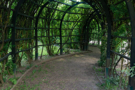 view from inside a shady pergola in a parkの写真素材