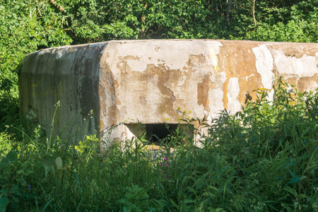 old abandoned concrete pillbox among the grass