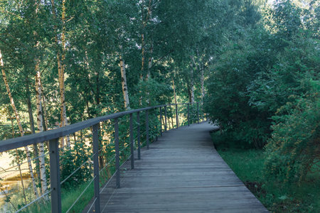 wooden walkway in the park in the summer in the morning