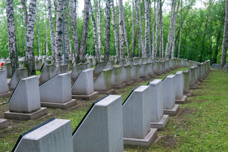 Tombstones in the old cemetery of the cityの写真素材
