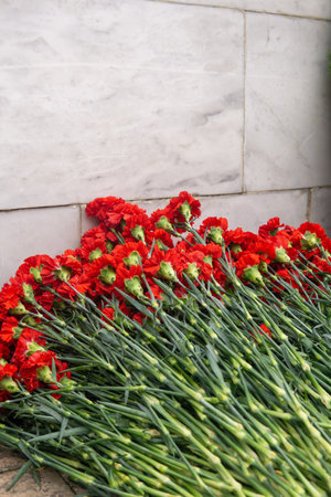 Red carnation flowers on a white marble background with copy space.の写真素材