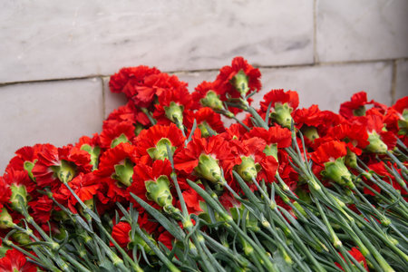 Red carnation flowers in a bouquet on a white marble wall backgroundの写真素材