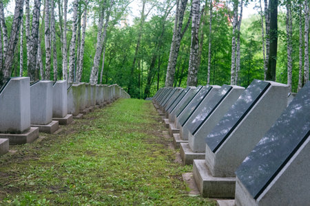 A row of concrete gravestones in a birch grove in springの写真素材