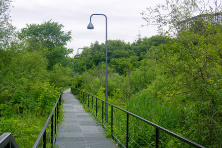 walkways in river valley in the park in the summer.
