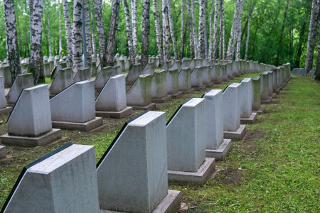 military cemetery with rows of tombstonesの写真素材