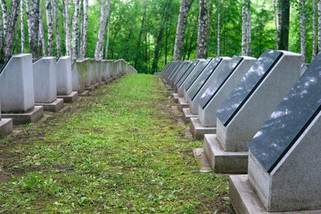 old memorial soldier cemetery with tombstones among birchesの写真素材
