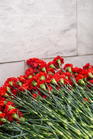 Red carnation flowers in a bouquet on a white marble wall backgroundの写真素材