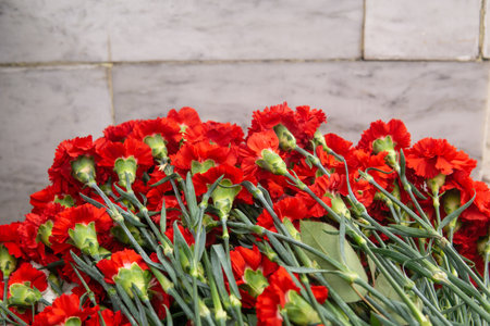 Bunch of red carnation flowers in front of a stone wallの写真素材