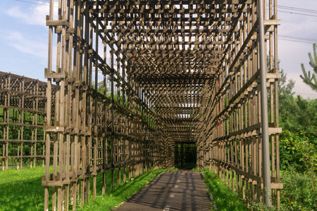 wooden gallery above the bike path in the park, passing under the power line