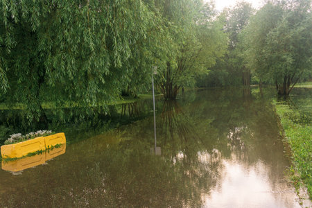 high water in the park after heavy rains