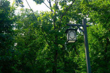Lantern outdoor in the park on a background of green trees
