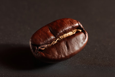 roasted coffee bean on a dark background. close-upの素材