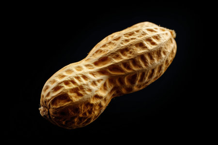 Peanut on a black background, close-up, macro.の素材