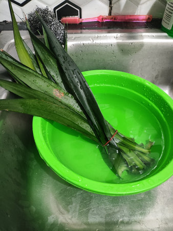 Pandan leaves in a green basin in a sink in the kitchenの写真素材