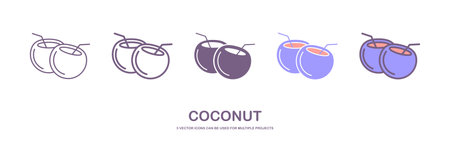 Coconut icon of 5 types. coconut vector illustration. Isolated vector sign symbol.のイラスト素材