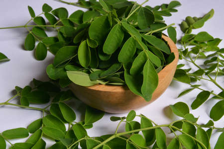 Moringa leaves as vegetables with a lot of vitamin and mineral for body healthの写真素材