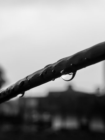 Raindrops on a metal rail. Black and white photography. Selective focus.の写真素材