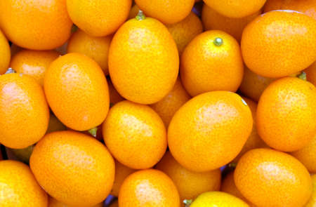 Kumquats or mini oranges の写真素材