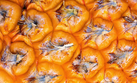 pineapple backgroundの写真素材