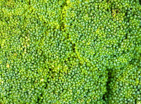 Broccoli vegetableの写真素材