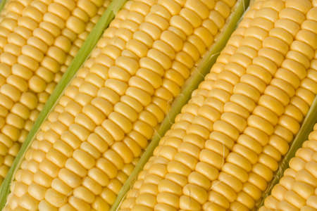 corn or sweetcorn on the cob