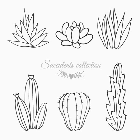 black and white sketches of cactuses, succulents and other desert plantsのイラスト素材