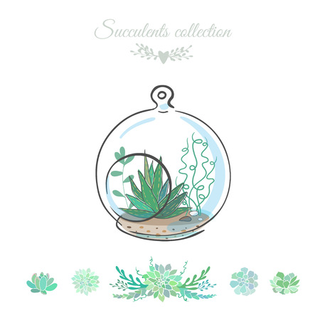 floral composition with succulents in decorative glass bowl, vector floral illustrationのイラスト素材