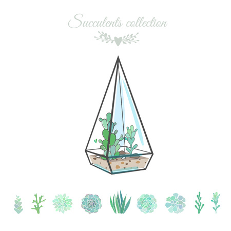 vector illustration with succulents in geometric vase, isolated on whiteのイラスト素材