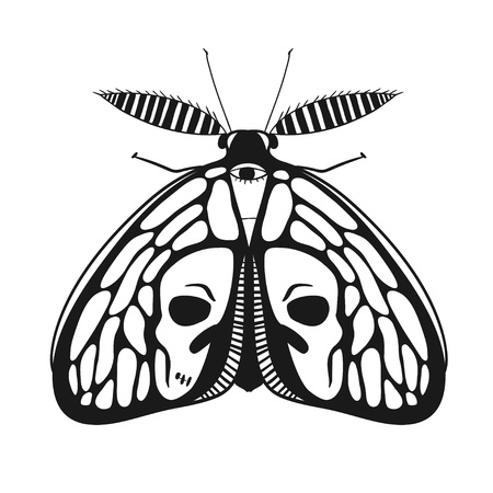 black and white mystical moth with skull on wings, vector illustration of a butterfly isolated on whiteのイラスト素材
