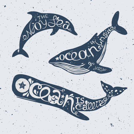 Set of marine animals with lettering dolphin, cachalot and orca with hand drawn lettering, vector nautical illustrationのイラスト素材