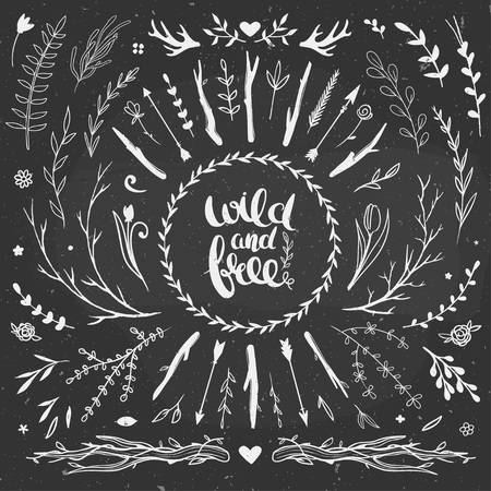 Rustic floral set of decorative elements on a chalkboard. Vector illustration.のイラスト素材