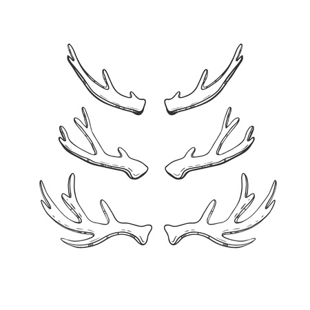 Set of hand drawn deer and moose horns isolated on white. Vector natural sketch.のイラスト素材