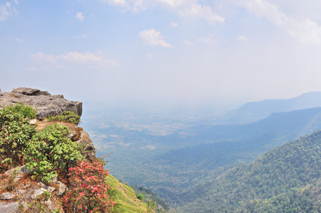 Landscape at Cliff on Phu Luang wildlife sanctuary, loei province, Thailand. の写真素材
