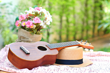 brown ukulele with lovely hat and flowers ,green backgroundの写真素材
