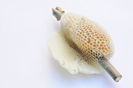 Honeycomb  on write backgroundの写真素材
