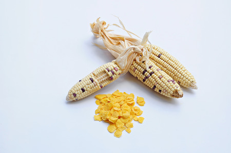 Corn flakes and Corn Pods Place on white background