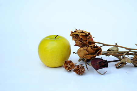 dried green apple and rose dried on white backgroundの写真素材