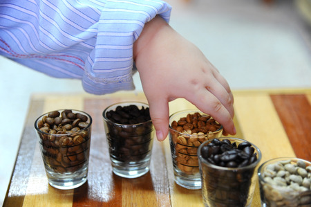 Children's hands holding Coffee beans in glassの写真素材