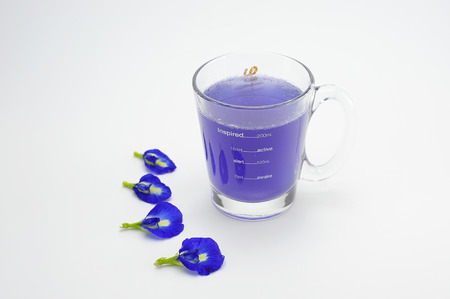 Butterfly Pea Juice in Glass on white backgroundの写真素材