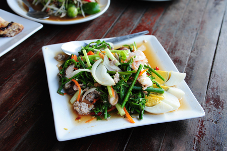 Fern salad (thai food), Small Vegetable fern (Style Still Life)の写真素材