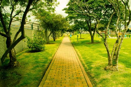 A beautiful park on a sunny day. The sun illuminates the place.の写真素材